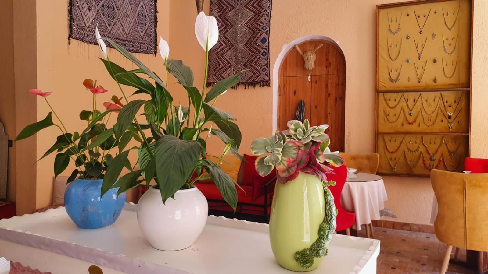 Riad Golf Stinia 2 Meknès Exteriér fotografie